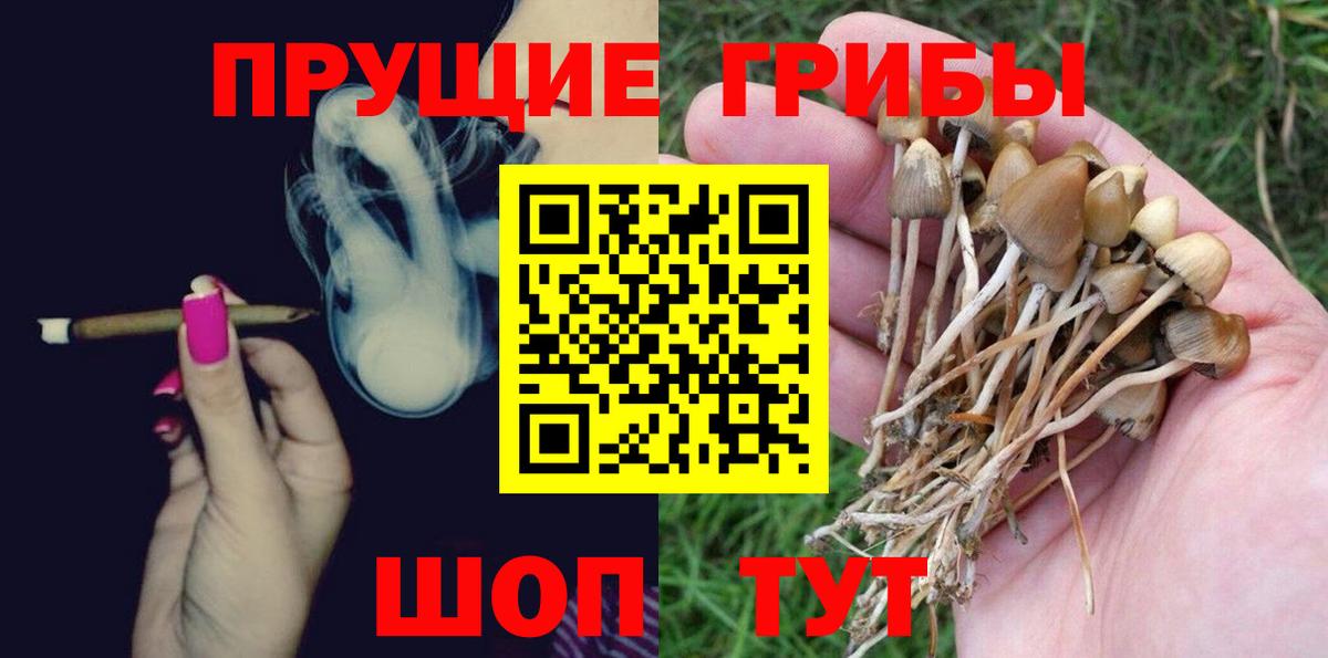 Псилоцибиновые грибы Cubensis Урюпинск